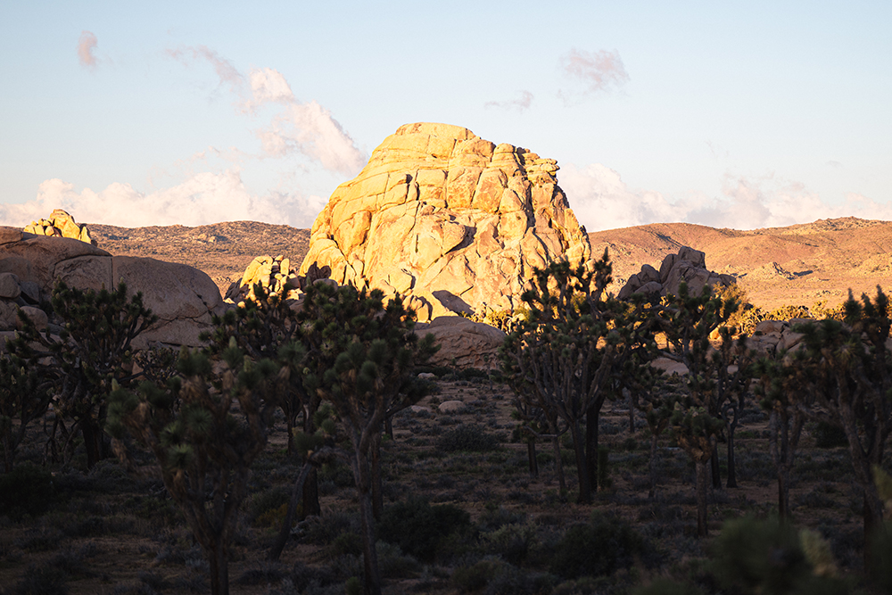 Joshua Tree Photography & Camping at Hidden Valley